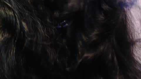 Snapshot of sexy_impact chatting on January 15, 3:33 am    online show from January 15, 3:33 am