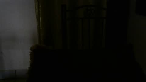 Snapshot of sexy_luna_22 chatting on October 10, 12:22 pm Luna online show from October 10, 12:22 pm
