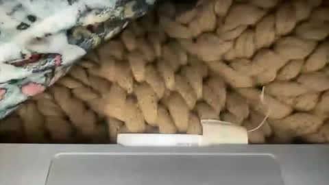 Ashley Love online show from March 17, 6:51 am