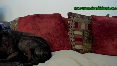 Sexymountainman420 online show from March 24, 5:02 am