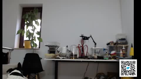 Adrian online show from February 4, 2:32 pm