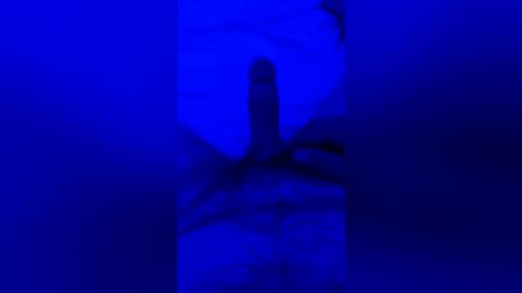 sh591012 online show from July 26, 10:46 am