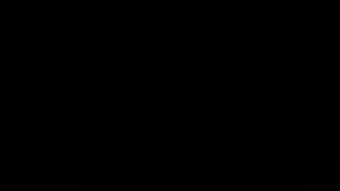 shagnasty95 online show from January 1, 6:37 am