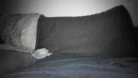 Shorty online show from December 17, 6:14 pm