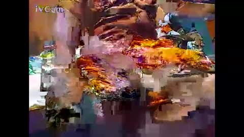 Shashee870242 online show from September 17, 2:15 am