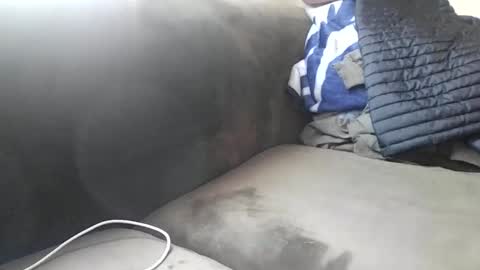 sheepydoggy45 online show from November 9, 2:42 pm