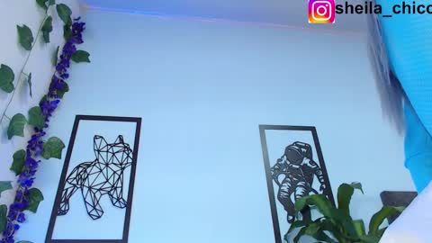 Snapshot of sheila_bigcok chatting on February 25, 12:36 am SHEILA  online show from February 25, 12:36 am