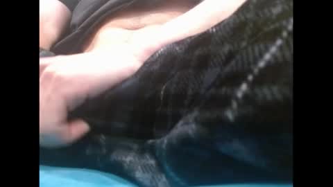 shy guy spc online show from February 27, 11:30 pm