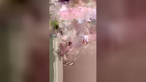 shyboymat69 online show from January 10, 5:02 am