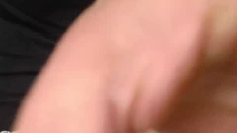 silver_seal online show from November 18, 9:34 am