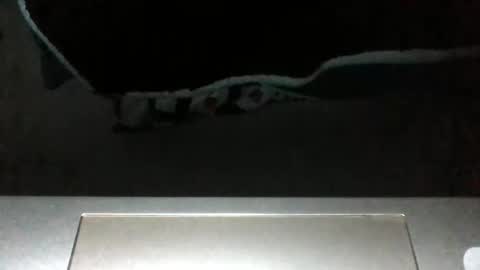 Silverhawk06 online show from November 15, 7:37 pm