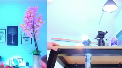 Siouxsie online show from September 14, 12:06 pm