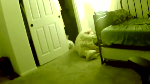 Snapshot of sirnose60 chatting on October 12, 9:57 am sirnose60 online show from October 12, 9:57 am