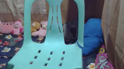 Joy online show from February 2, 7:27 am