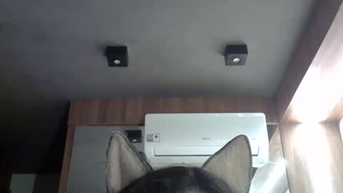 skinnykittencam online show from October 26, 3:51 am