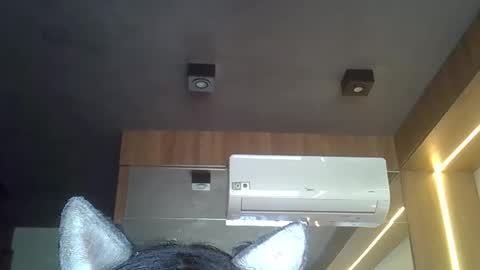 skinnykittencam online show from January 15, 11:30 am