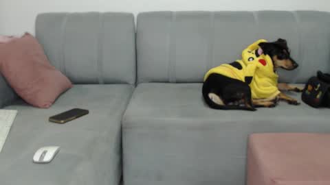 Snapshot of skinnylatin69 chatting on February 8, 2:26 am skinnylatin69 online show from February 8, 2:26 am
