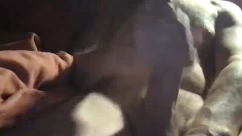 slienthear83 online show from January 14, 6:34 am