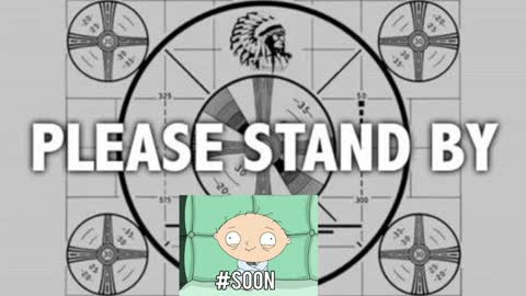 kitten online show from January 6, 8:18 pm