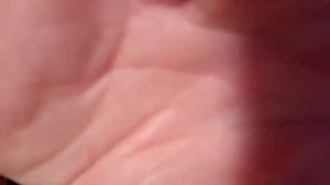 Snooty online show from February 10, 10:51 pm