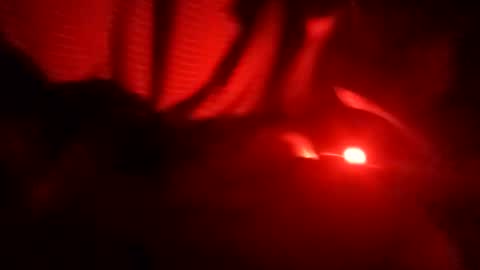 snqhephncxpu online show from March 19, 9:37 am