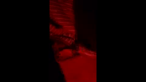 snqhephncxpu online show from March 11, 4:59 am