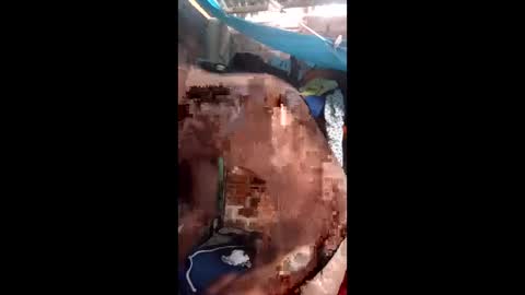 snqhephncxpu online show from April 19, 12:50 pm