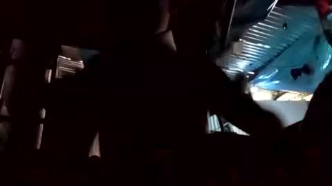 snqhephncxpu online show from March 24, 11:49 am