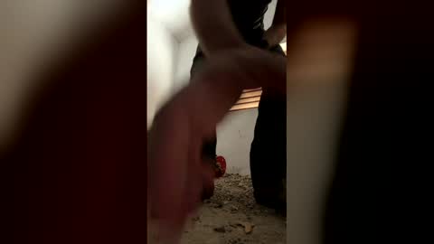 SexyCock online show from April 9, 12:00 pm