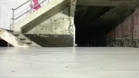 L4 online show from October 16, 8:18 pm