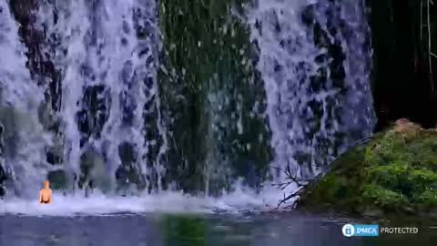 solisii online show from November 8, 10:51 am