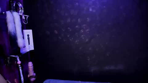 Snapshot of sommer_alexa chatting on February 27, 11:48 pm Alexa online show from February 27, 11:48 pm