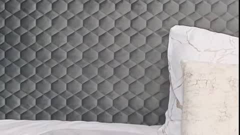 SophieWild online show from February 6, 9:13 am