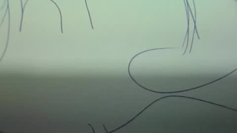 sparklelove69 online show from March 2, 5:08 am