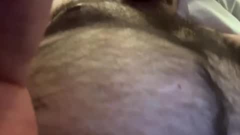 Lickman online show from May 3, 8:53 am