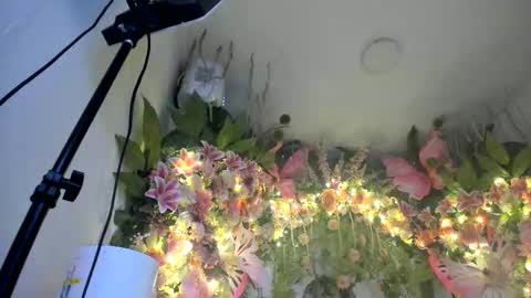 instagram sharonGriin online show from February 4, 3:43 am