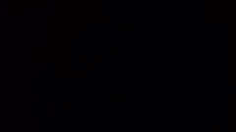 Squally Willy  MaryAnne online show from January 30, 2:47 pm