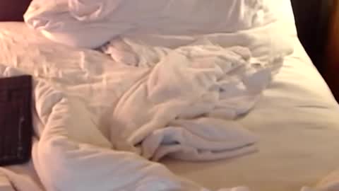 st8llion online show from January 11, 2:41 am