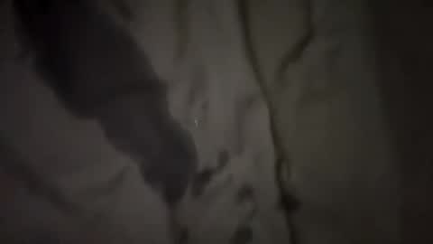 stacysquirtle online show from January 10, 3:17 pm