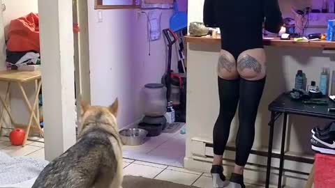 Submissive Slut LOVES adoration online show from November 11, 7:16 pm