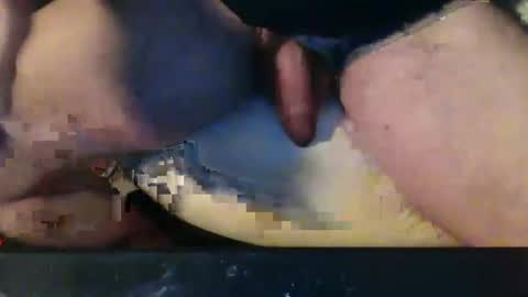 CIPPALIPPA online show from November 24, 6:28 pm