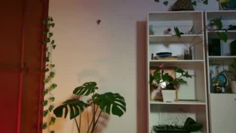 stellart_ online show from November 20, 3:49 am