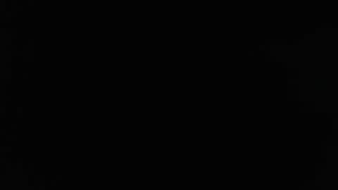 Stew Pididiot online show from January 31, 11:13 pm