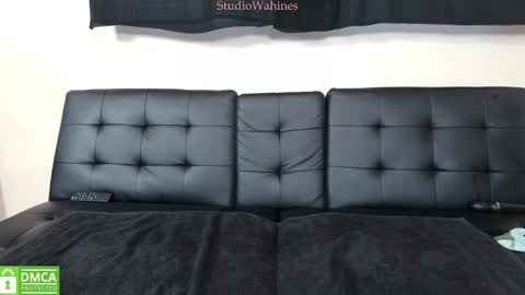 StudioWahines online show from January 29, 10:11 pm