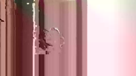 JJ online show from December 17, 2:57 pm