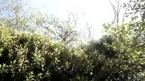 sucrette5629 online show from April 25, 1:13 pm