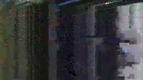 Playboy online show from October 9, 11:37 am