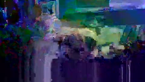 Playboy online show from October 25, 7:40 am