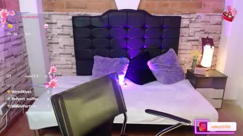 Snapshot of sweet_valery21 chatting on February 21, 8:38 pm valery online show from February 21, 8:38 pm