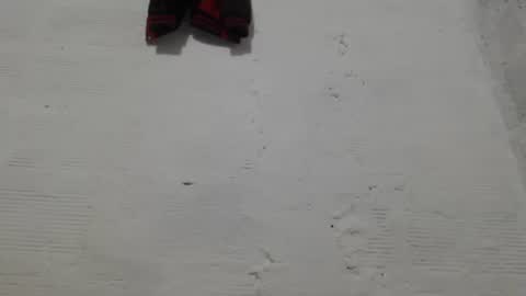 Camilo online show from February 1, 11:07 am